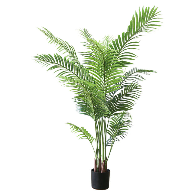 Palm Tree 5ft