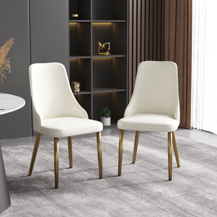 Light Luxury Leather Dining Chair Set of 2 AT-DC5