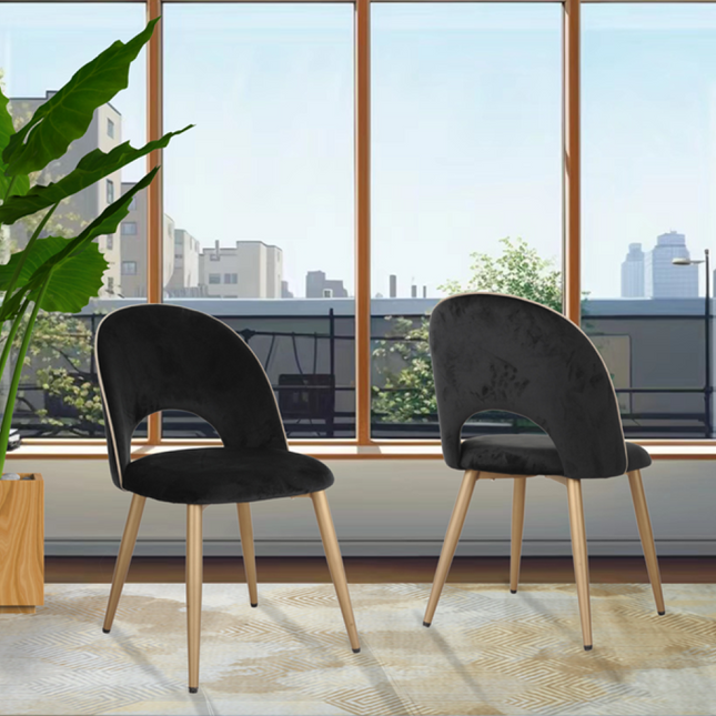 201782 Emelia Dining chair Set of 2