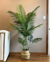 Palm Tree 5ft